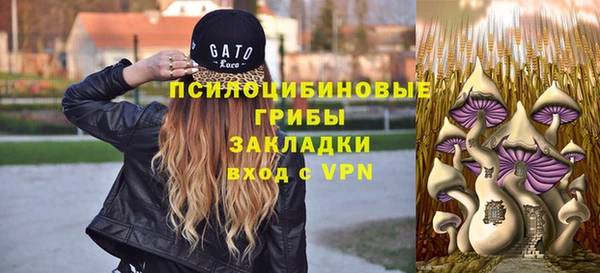 не бодяженный Верхний Тагил