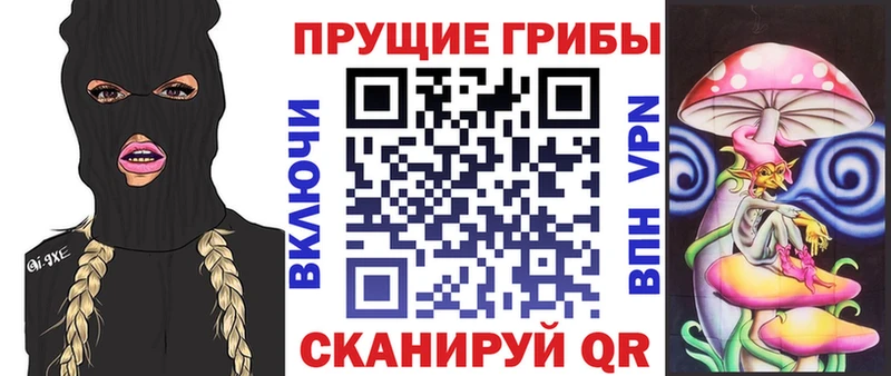 Галлюциногенные грибы Psilocybine cubensis  Вязники 